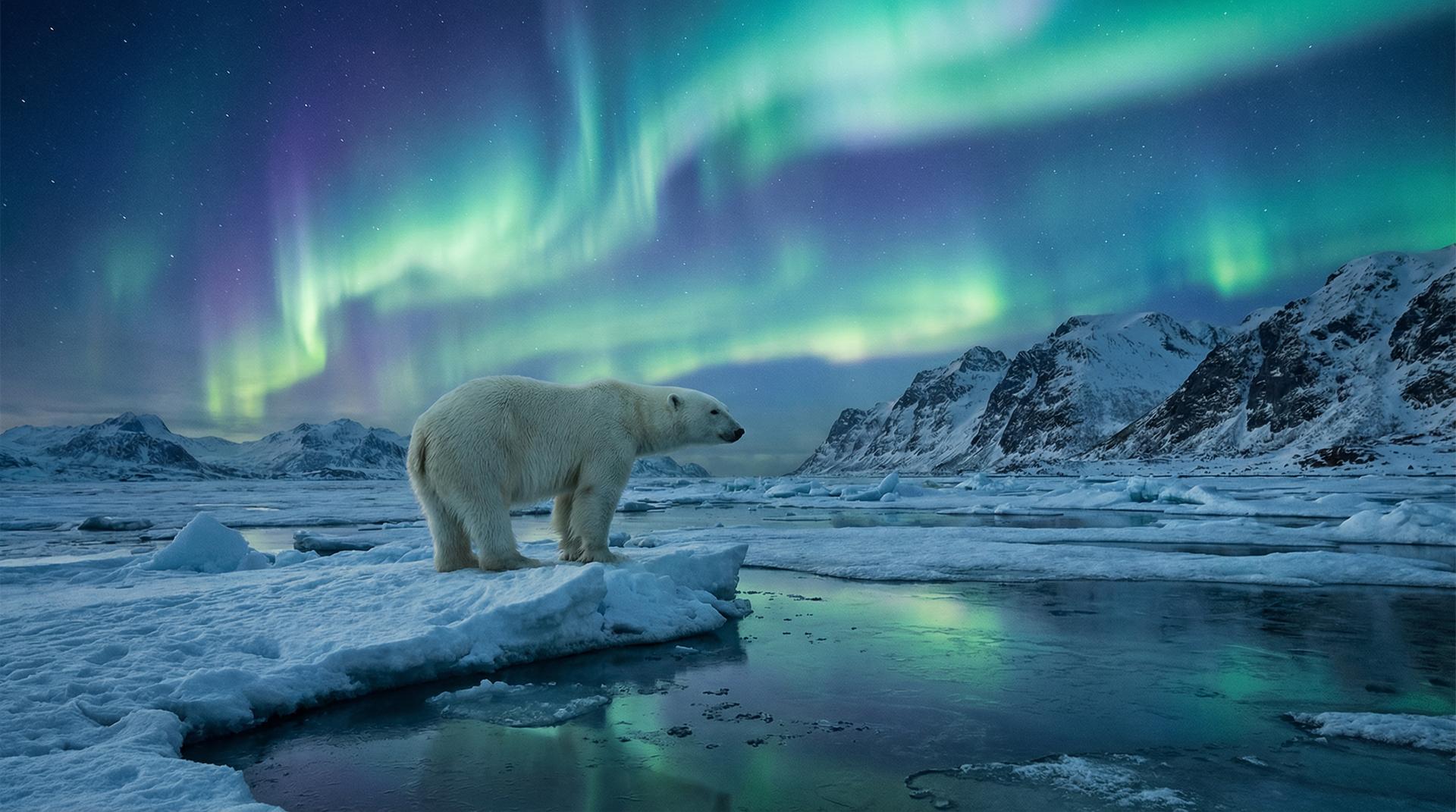 麻豆视频杰尼龟视频